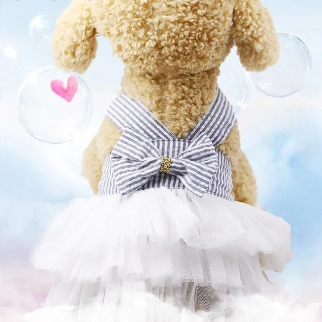 Tutu Dress