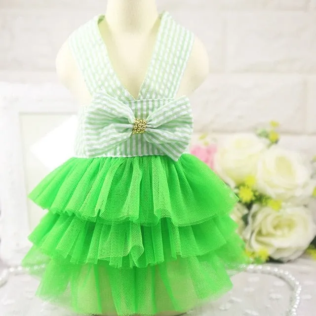 Tutu Dress